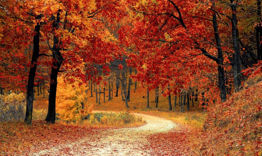 Friday 5 for September 1: More questions about our favorite topic