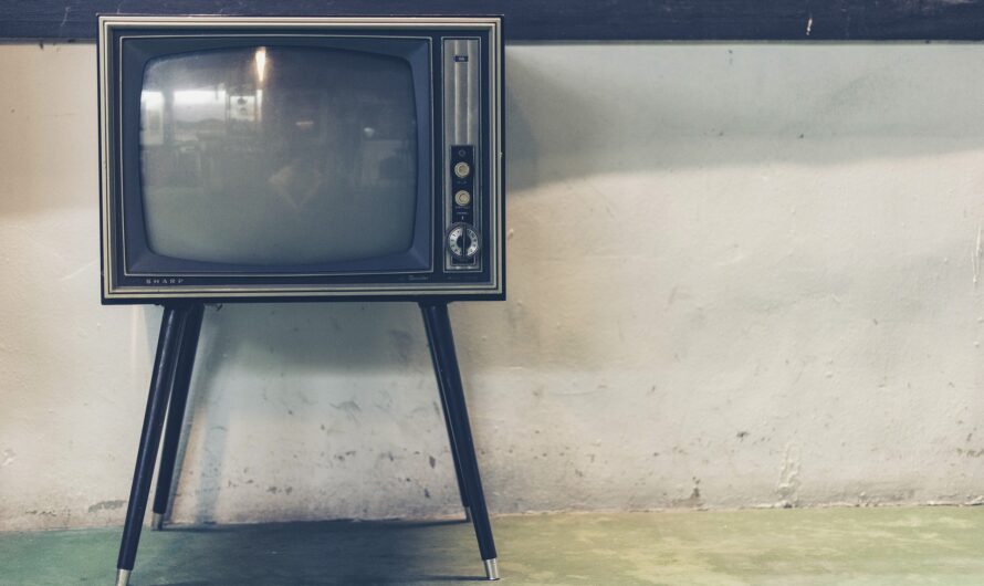 TV Thoughts – 1923, V-Wars, Territory