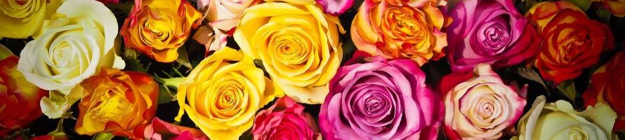 Question of the Day – August 2024